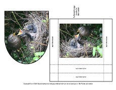 Amsel-Merkzettel-2.pdf